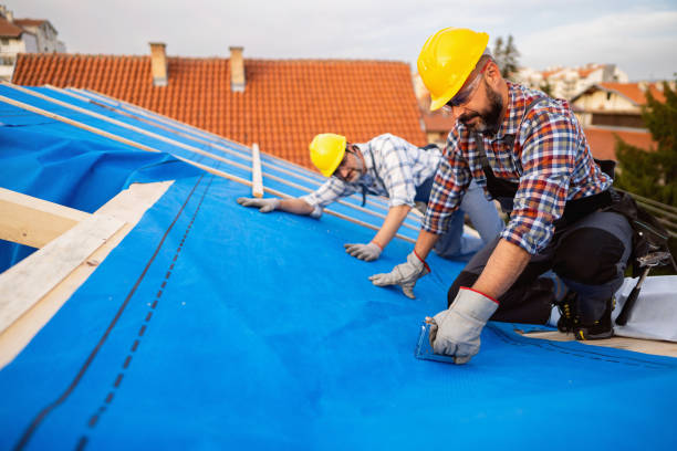 Best Rubber Roofing (EPDM, TPO)  in Hollymead, VA